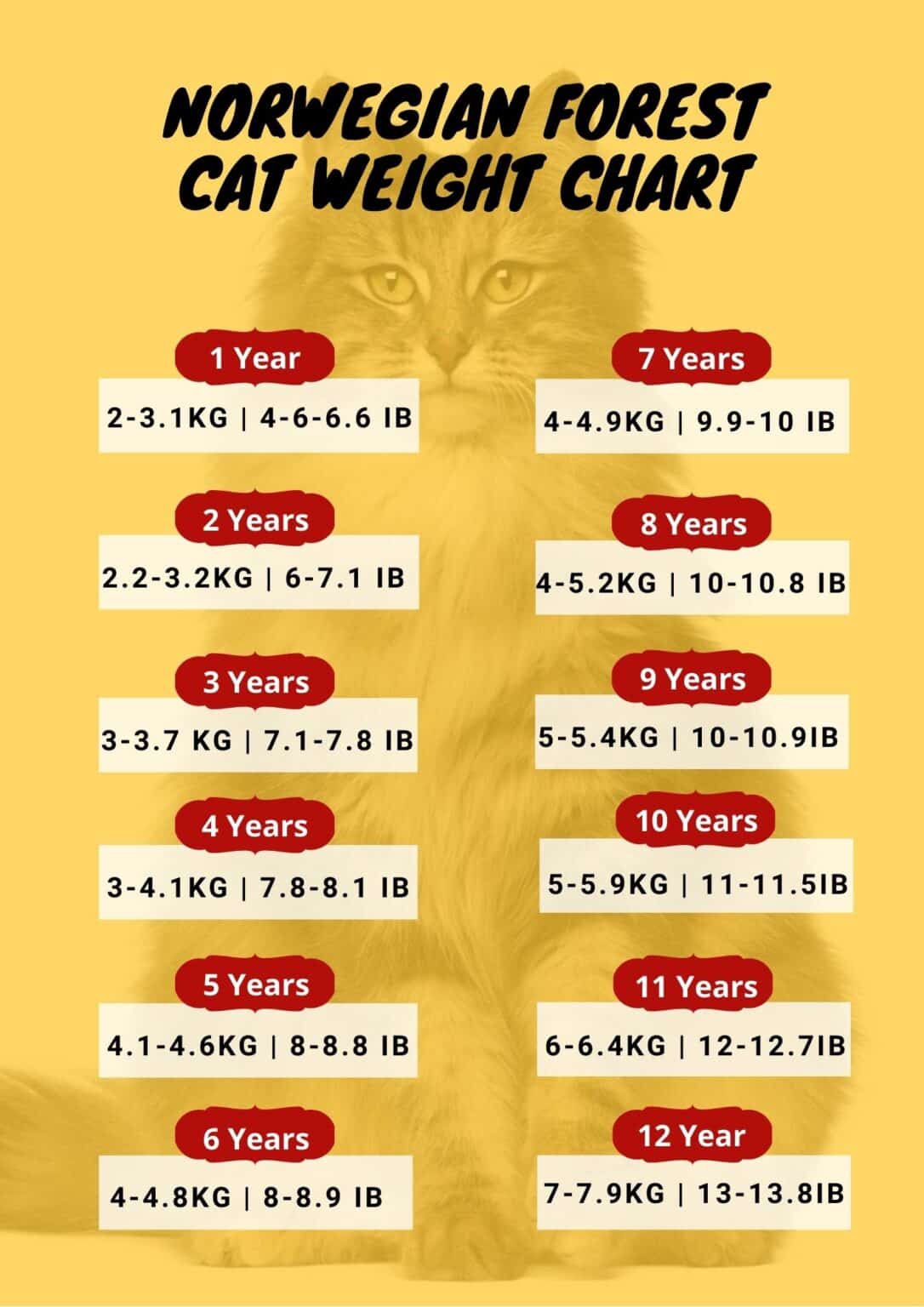 Siamese Cat Weight Chart By Age