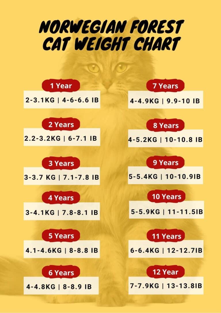 Healthy Cat Chart