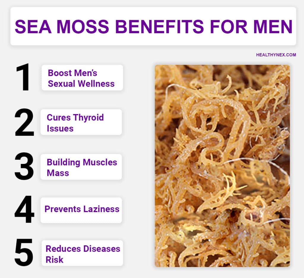 5 SEA MOSS BENEFITS FOR MEN
