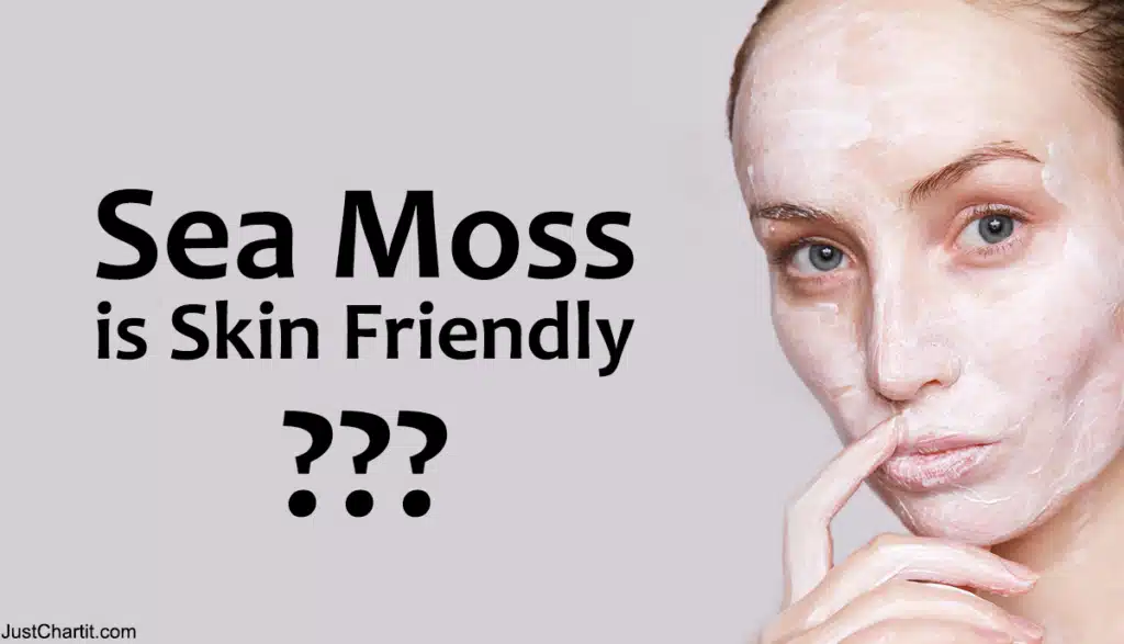Sea Moss Benefits for Skin